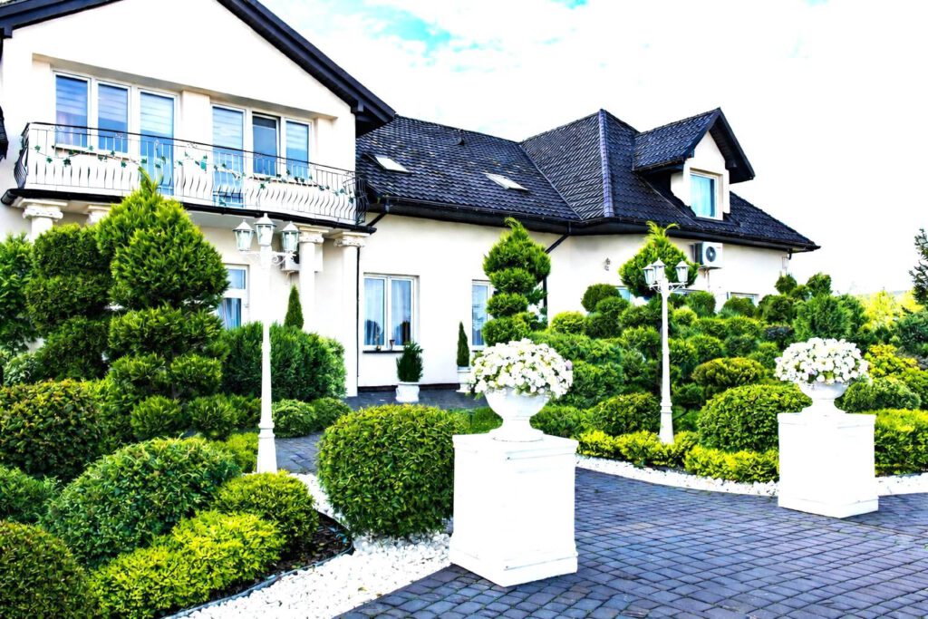 zzzzz białymi kwiatami dwie lampy piętka